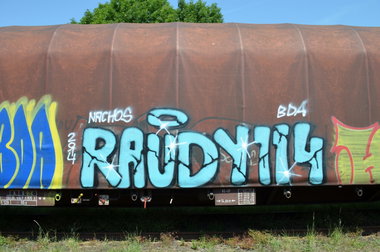 Graffiti Train - Photo by Hall3rOT - RAUDY, 114, BDA (2014)