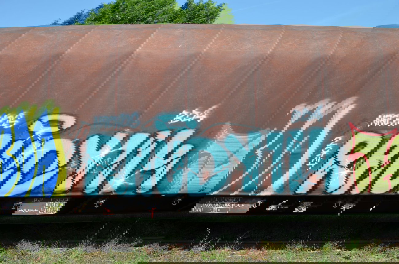 Graffiti Train - Photo by Hall3rOT - RAUDY, 114, BDA (2014)