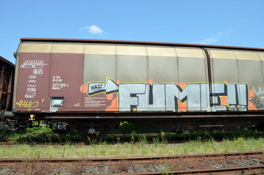 Graffiti Train - Photo by Hall3rOT - FUME, MAUZ, WAU (2011)