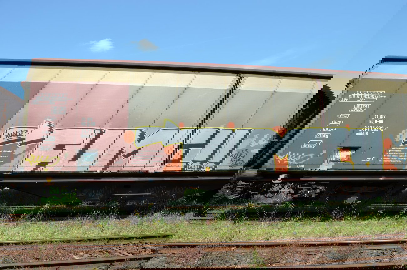 Graffiti Train - Photo by Hall3rOT - FUME, MAUZ, WAU (2011)