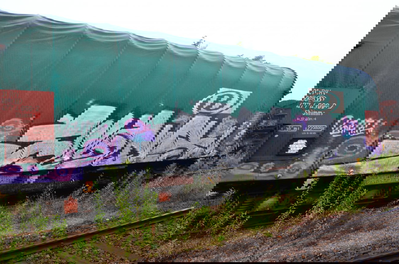 Graffiti Train - Photo by Hall3rOT - AINS, FH (2014)