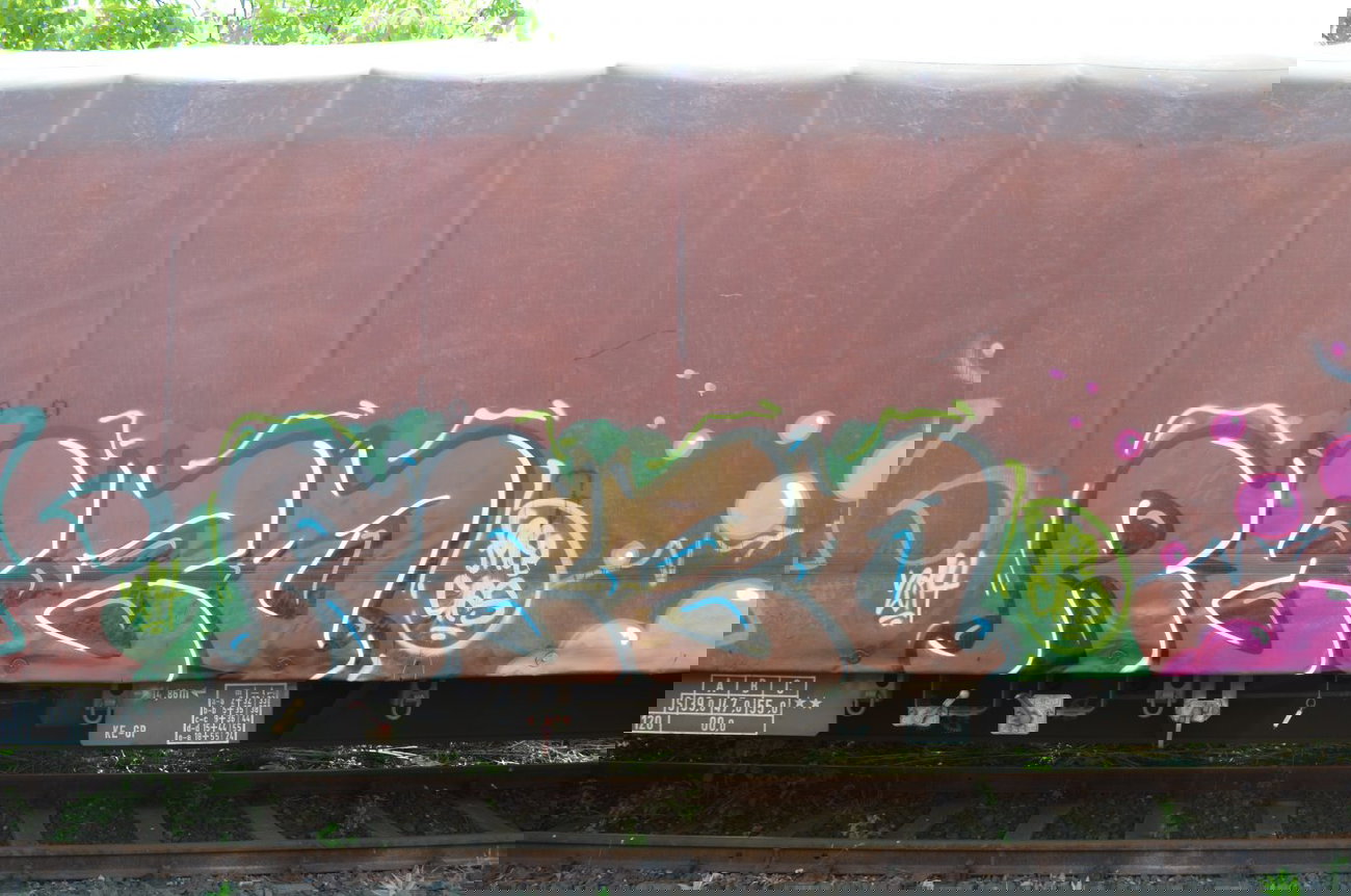 Graffiti Train - Photo by Hall3rOT - REZO (2014)