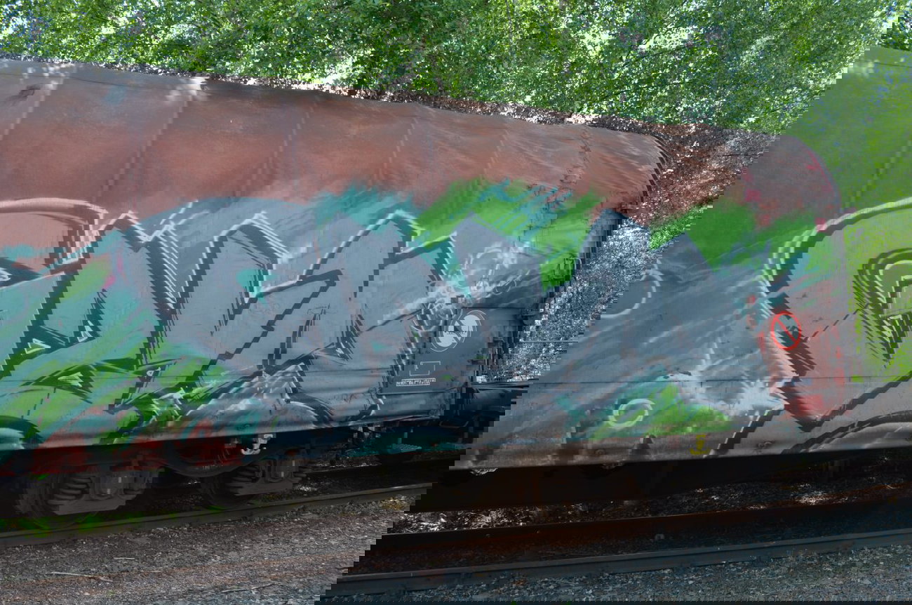 Graffiti Train - Photo by Hall3rOT