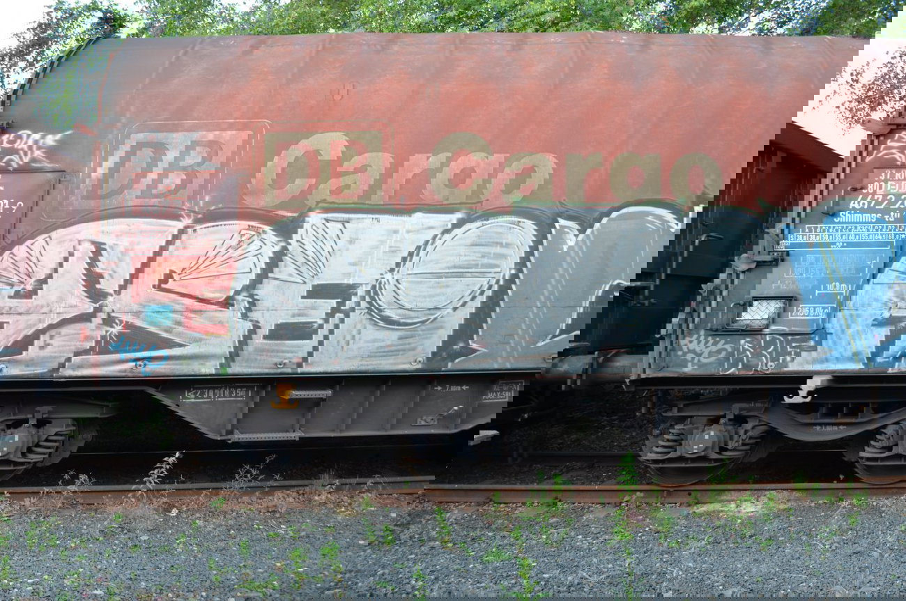 Graffiti Train - Photo by Hall3rOT - FREI, DBF, EPSC