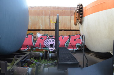 Graffiti Train - Photo by Hall3rOT - HAYF