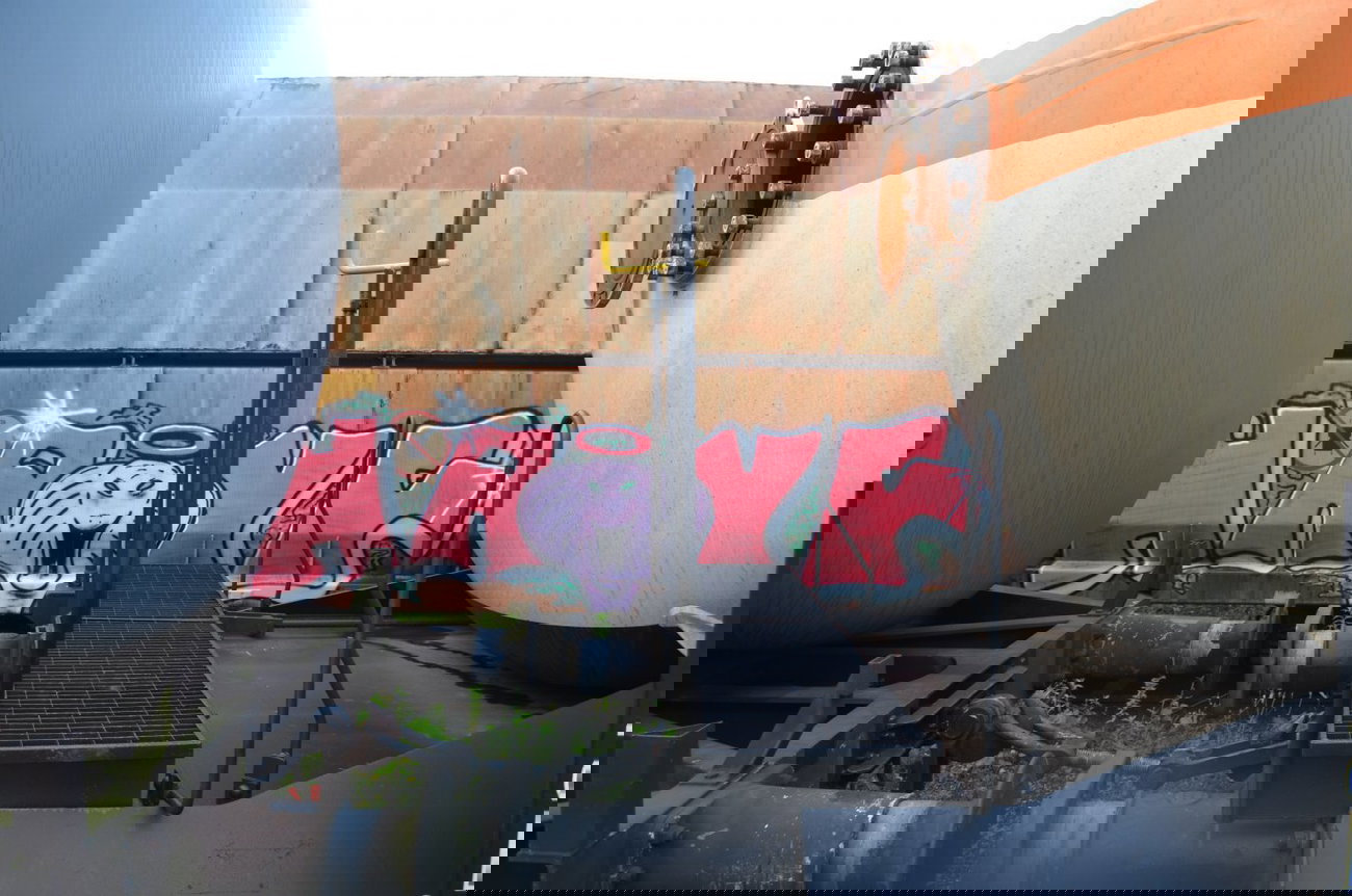 Graffiti Train - Photo by Hall3rOT - HAYF