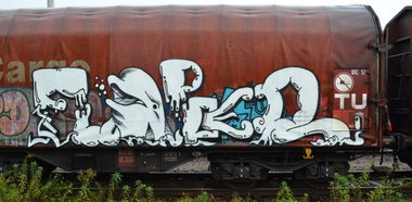 Graffiti Train - Photo by Hall3rOT - FLIPPER