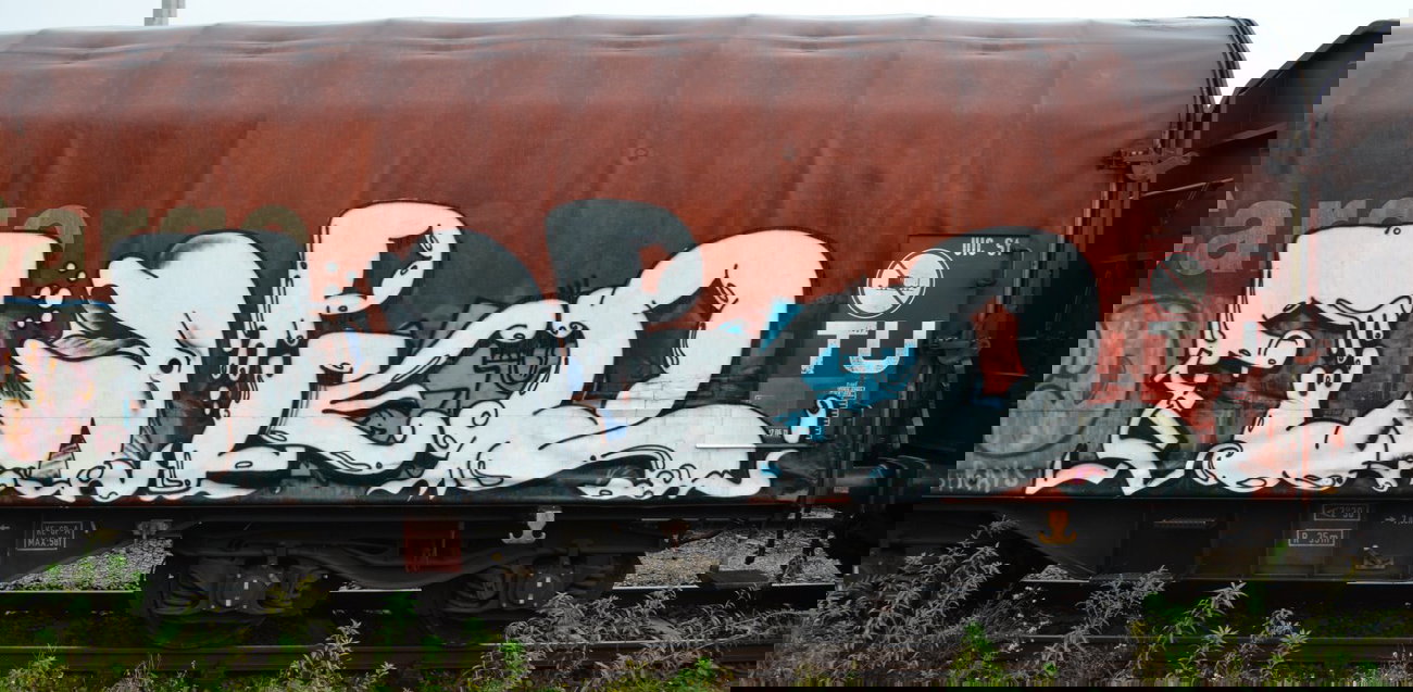 Graffiti Train - Photo by Hall3rOT - FLIPPER
