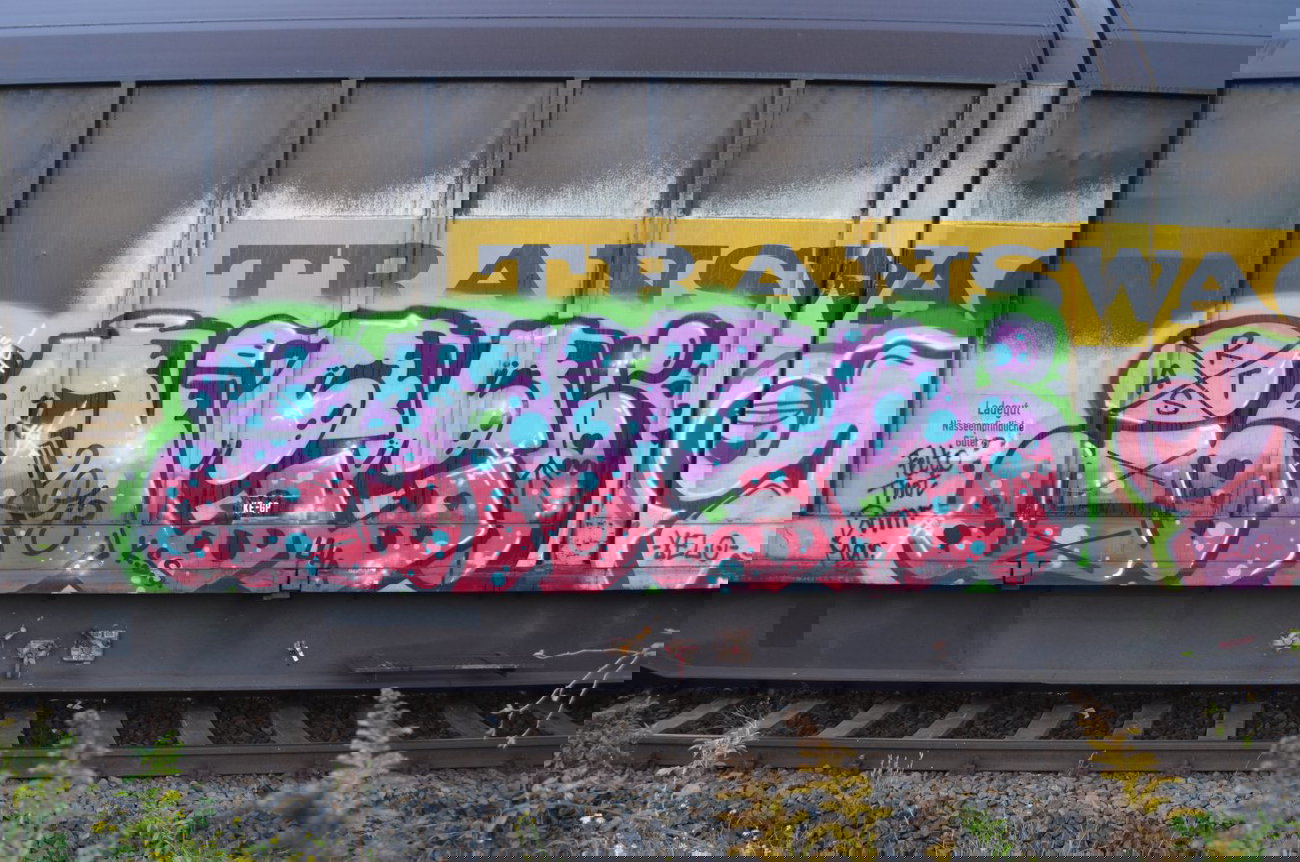 Graffiti Train - Photo by Hall3rOT (2013)