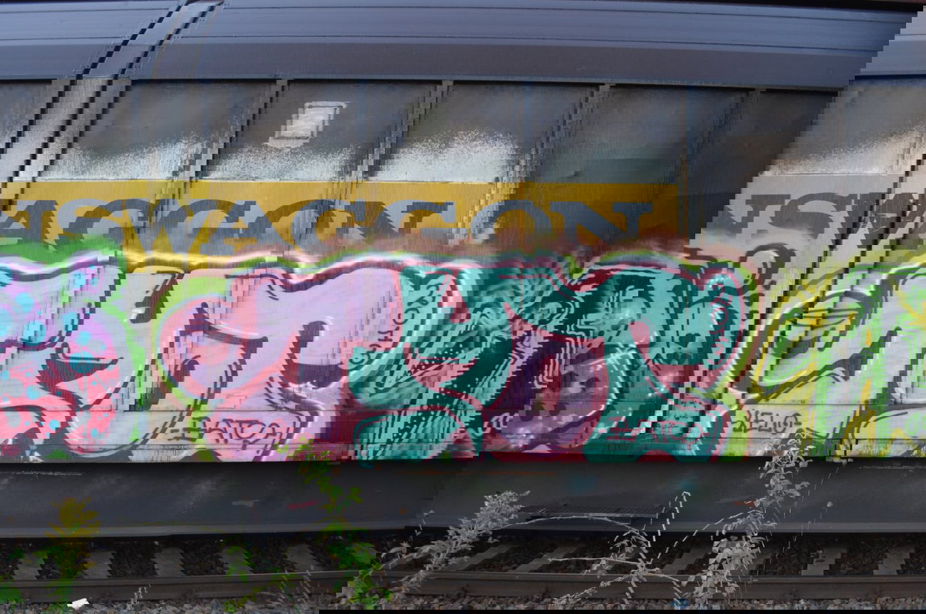 Graffiti Train - Photo by Hall3rOT (2013)