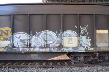 Graffiti Train - Photo by Hall3rOT - DEPOE, FLS (2007)