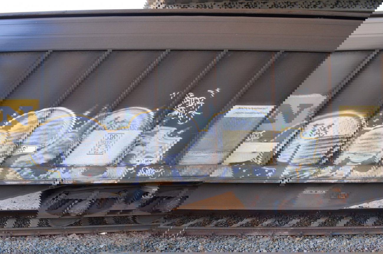 Graffiti Train - Photo by Hall3rOT - DEPOE, FLS (2007)