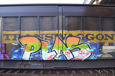 Graffiti Train - Photo by Hall3rOT - PLAS, WS (2014)