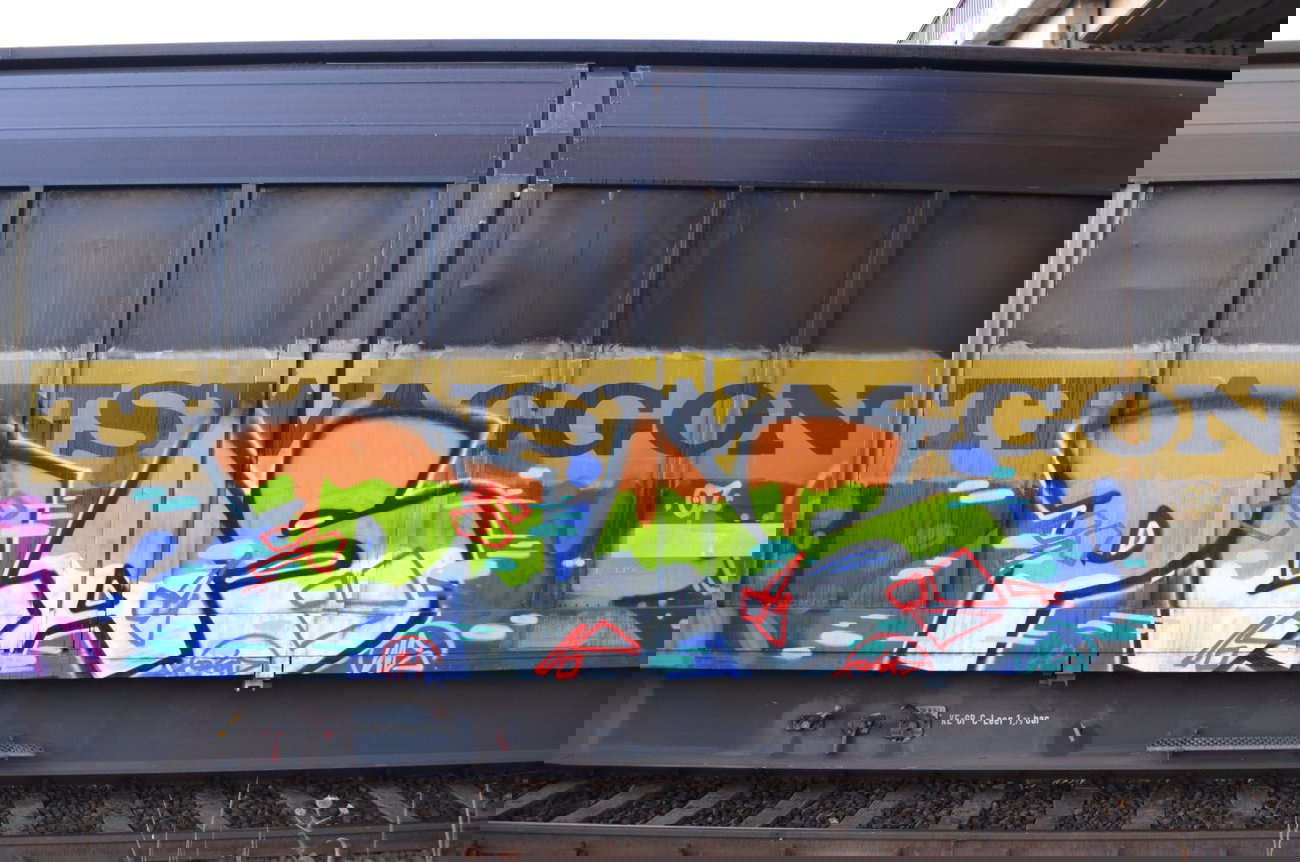 Graffiti Train - Photo by Hall3rOT - PLAS, WS (2014)