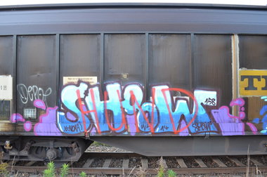 Graffiti Train - Photo by Hall3rOT - SHOOW, SHOW, WS (2014)