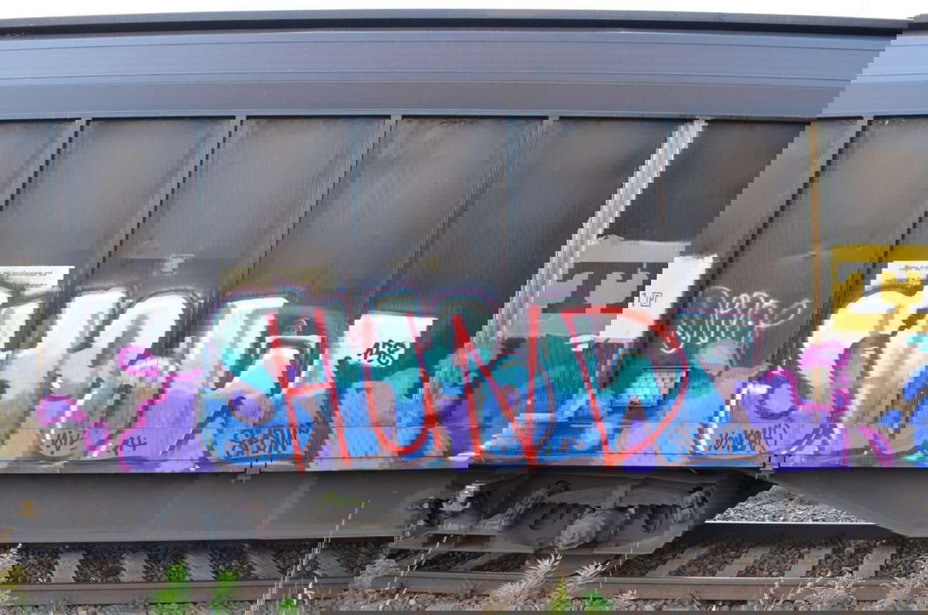 Graffiti Train - Photo by Hall3rOT - SHOOW, SHOW, WS (2014)