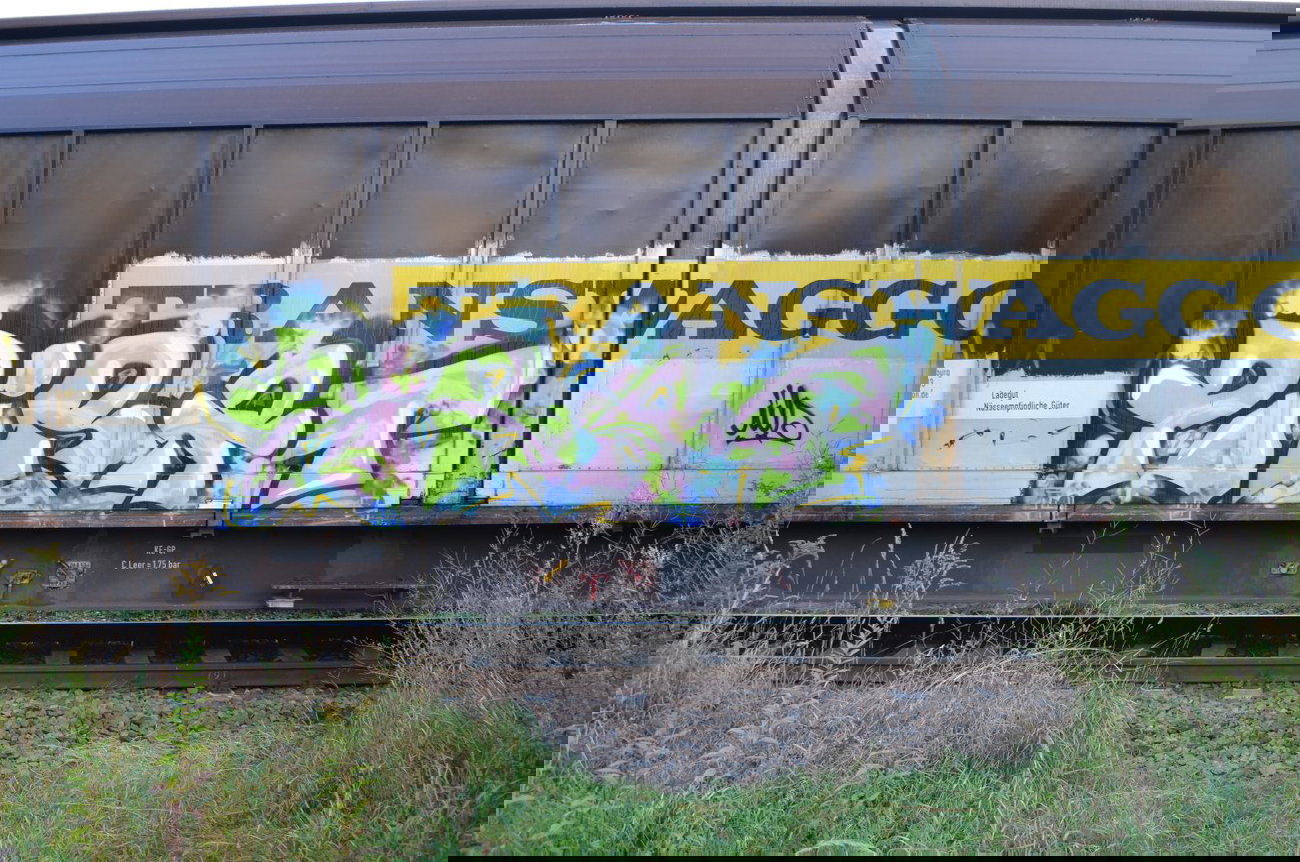 Graffiti Train - Photo by Hall3rOT - PIRAT, ÜFS