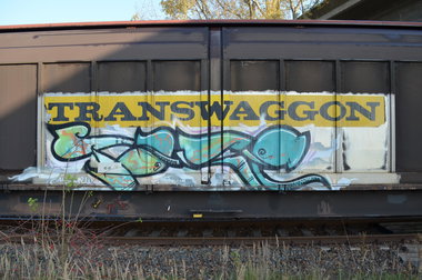Graffiti Train - Photo by Hall3rOT - TASE, ÜF, CREW