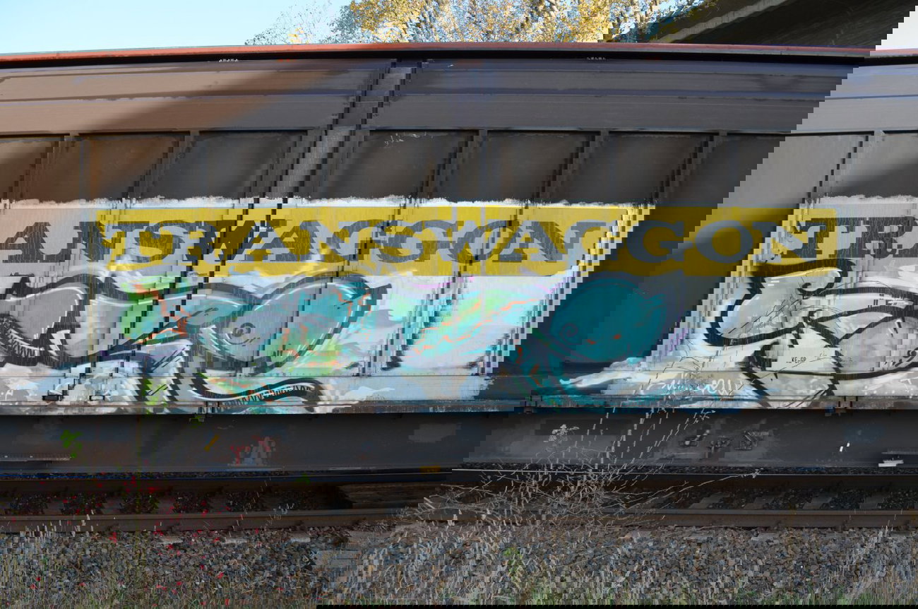 Graffiti Train - Photo by Hall3rOT - TASE, ÜF, CREW