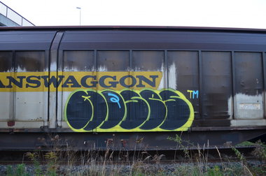 Graffiti Train - Photo by Hall3rOT - MOSES, TM
