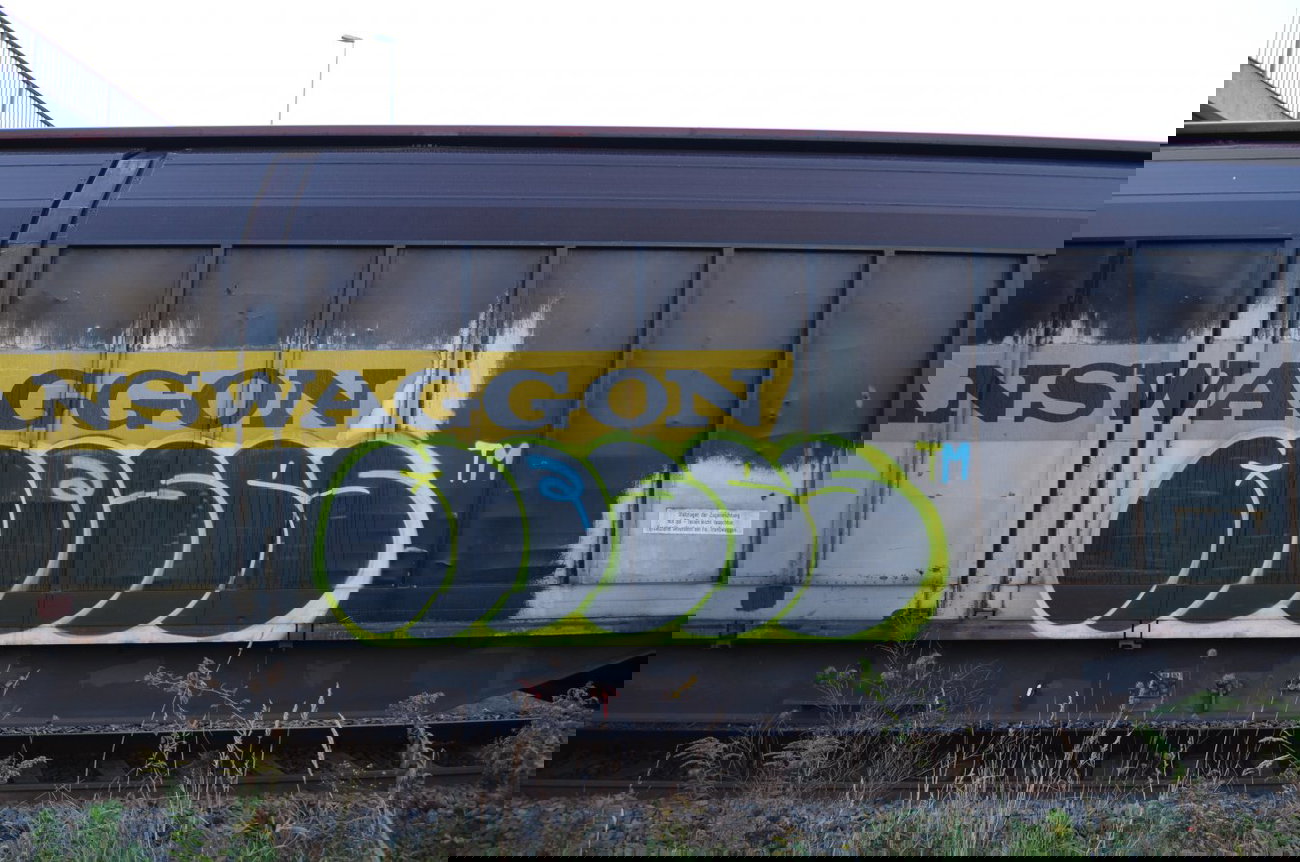 Graffiti Train - Photo by Hall3rOT - MOSES, TM