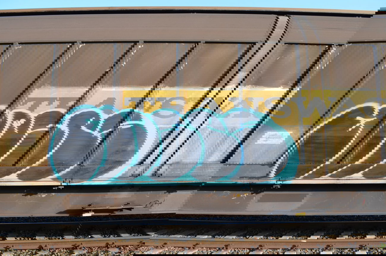 Graffiti Train - Photo by Hall3rOT - MOSES