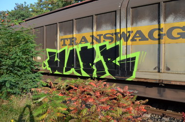 Graffiti Train - Photo by Hall3rOT - WARE, WARZ
