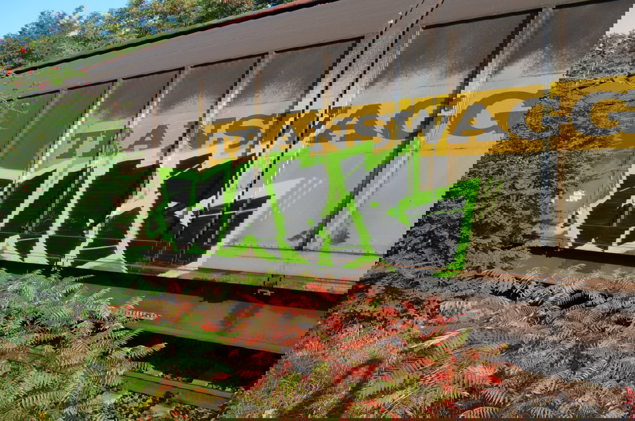 Graffiti Train - Photo by Hall3rOT - WARE, WARZ