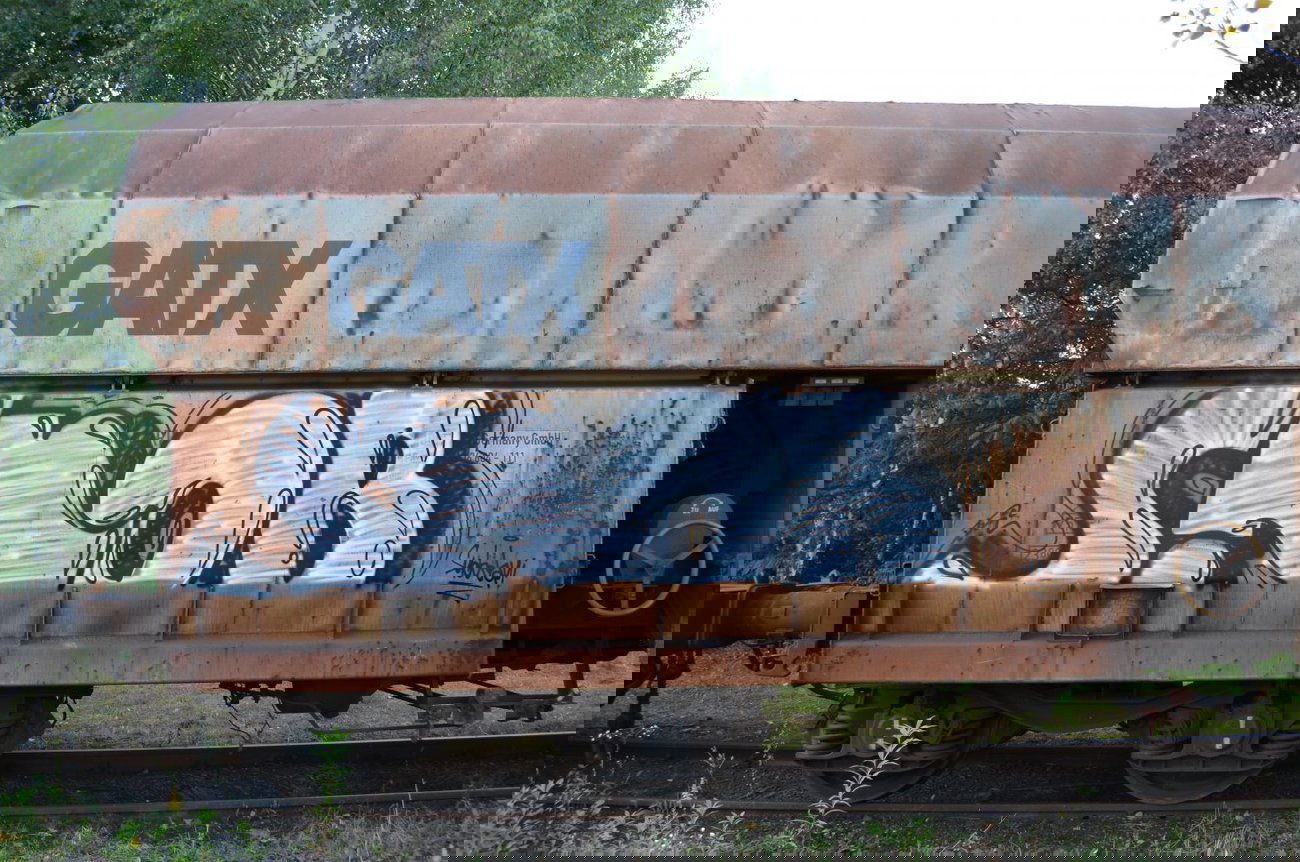 Graffiti Train - Photo by Hall3rOT - SNOB