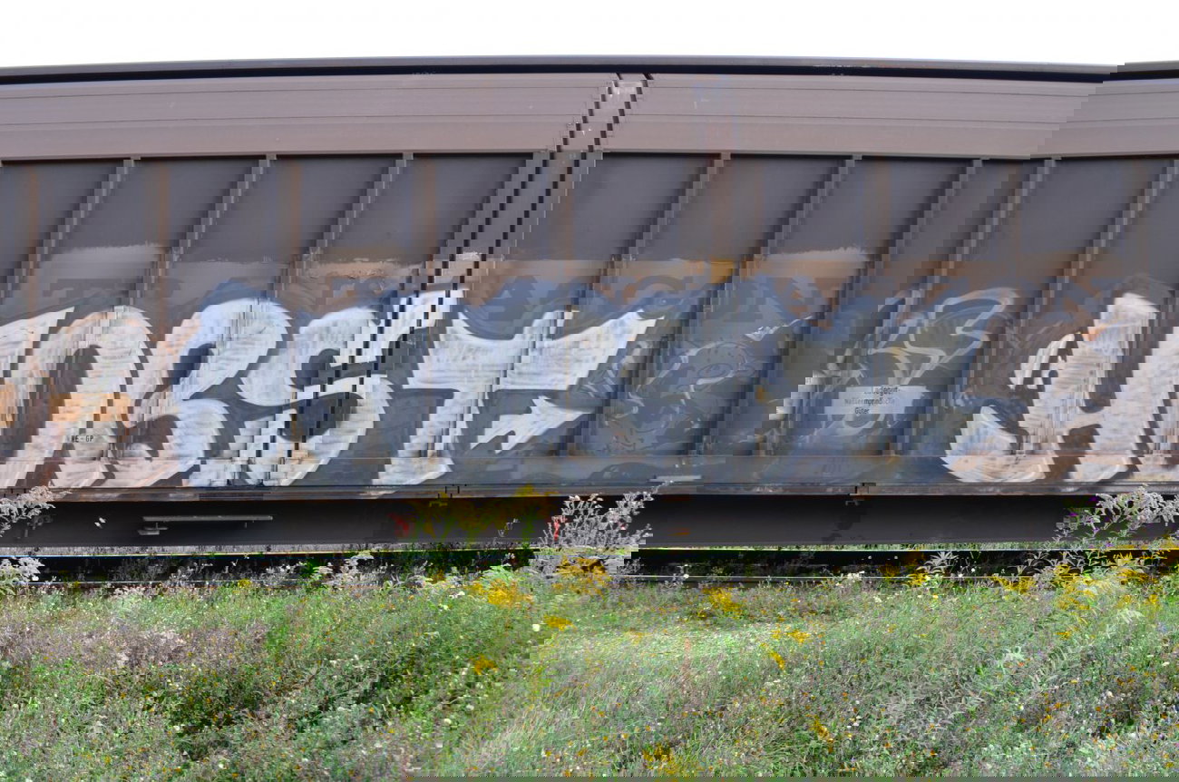 Graffiti Train - Photo by Hall3rOT - HORST