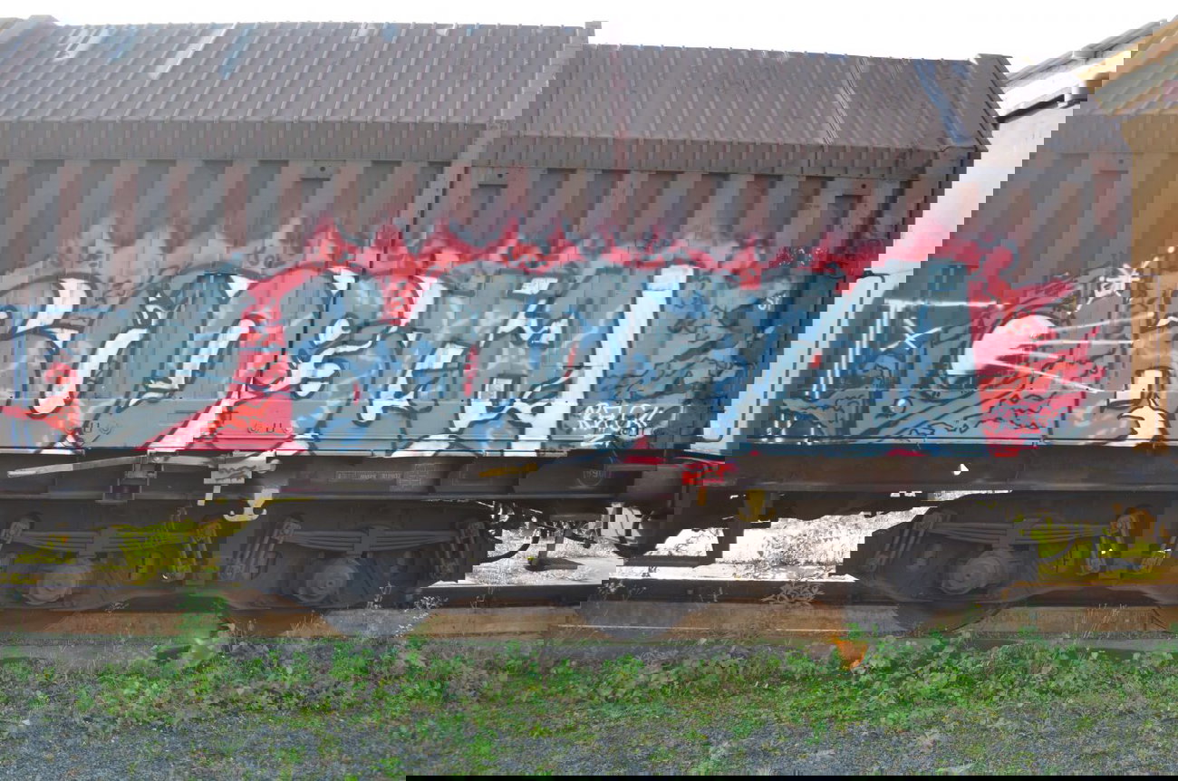 Graffiti Train - Photo by Hall3rOT - BOOSTA, RAC