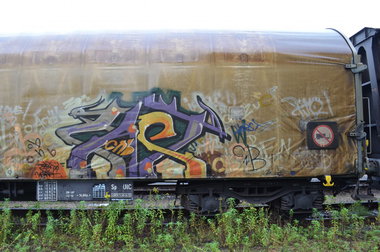 Graffiti Train - Photo by Hall3rOT - FACT, CNB (2009)