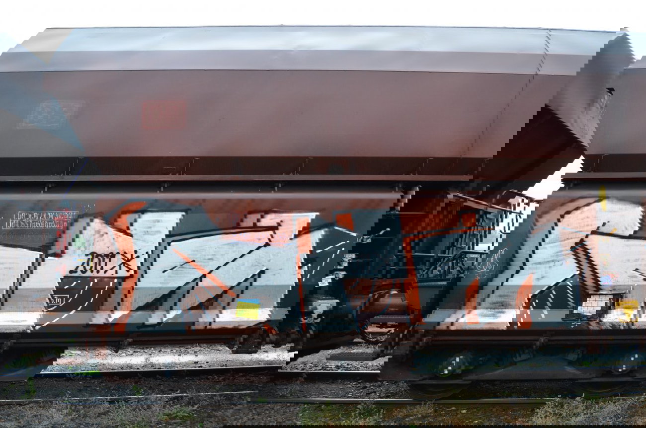 Graffiti Train - Photo by Hall3rOT - POZOR (2011)