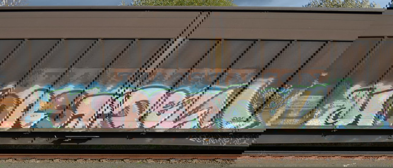 Graffiti Train - Photo by Hall3rOT - HORST, POLM