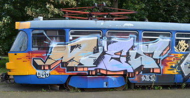 Graffiti Train - Photo by Hall3rOT - MIES, ORG, NINA