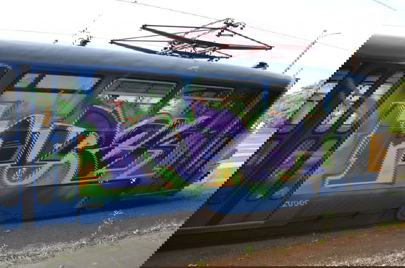 Graffiti Train - Photo by Hall3rOT - MURCK