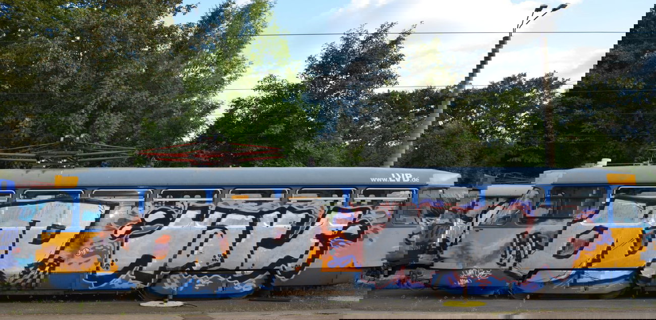 Graffiti Train - Photo by Hall3rOT - DDR, HAYF