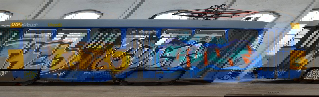 Graffiti Train - Photo by Hall3rOT - THEO, 1, CULT