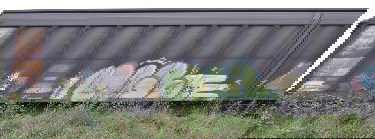 Graffiti Train - Photo by Hall3rOT - MGB (2011)