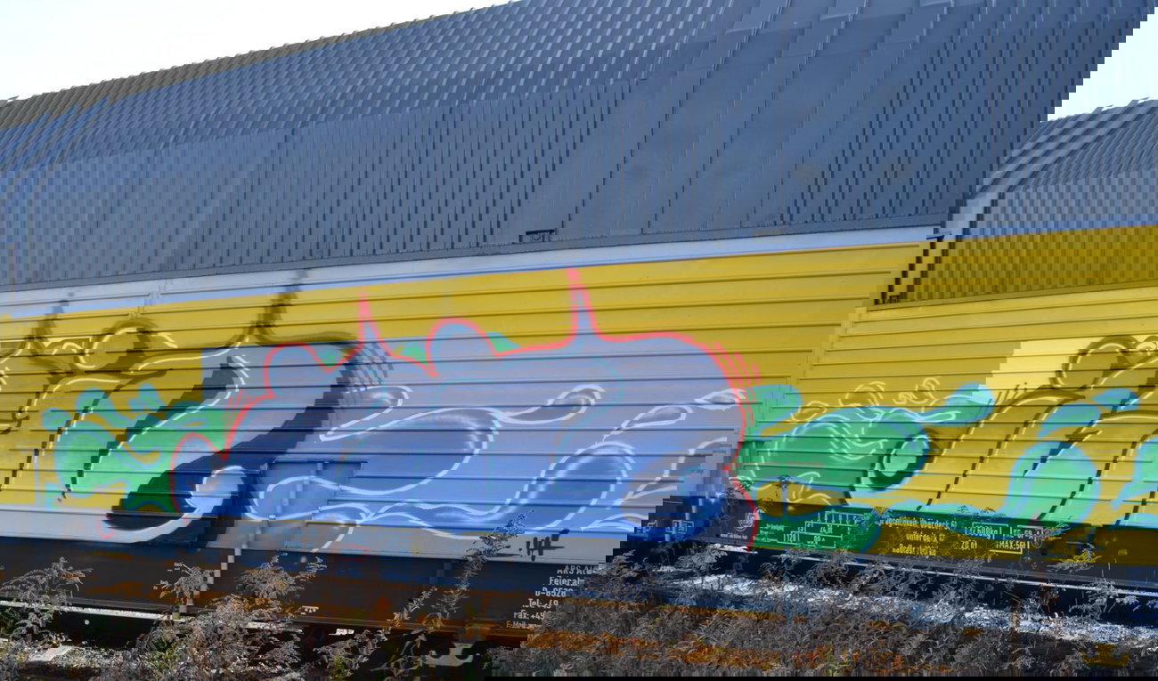 Graffiti Train - Photo by Hall3rOT - IGID (2014)