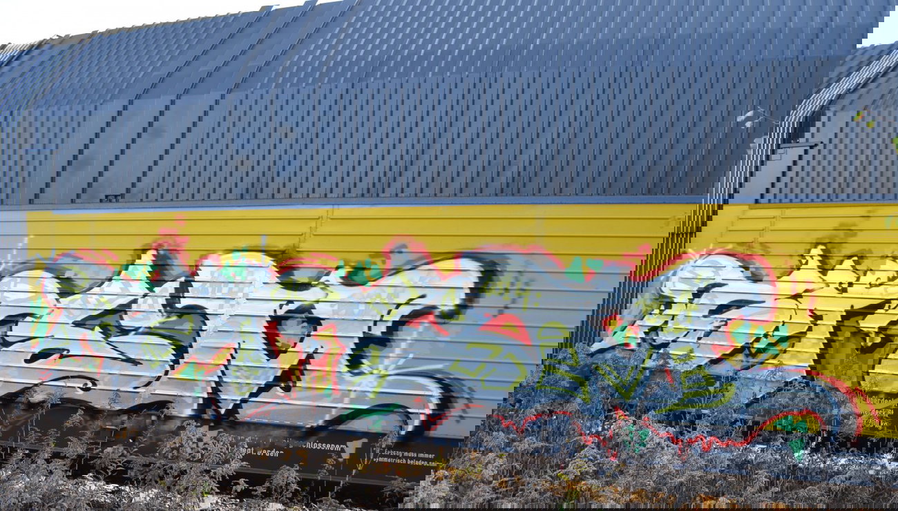 Graffiti Train - Photo by Hall3rOT - STEM, GRS, BOA (2014)