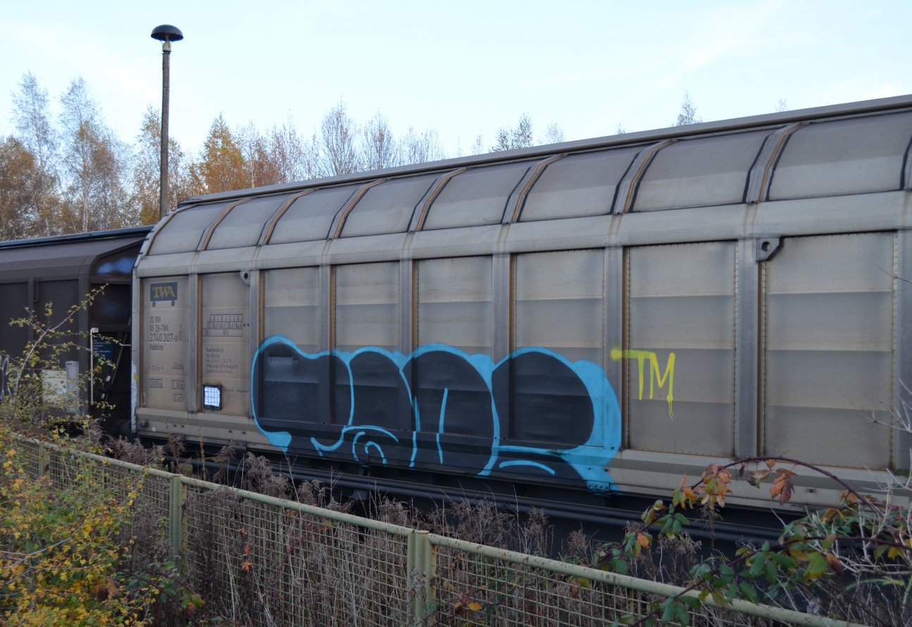 Graffiti Train - Photo by Hall3rOT - TAPS, TM