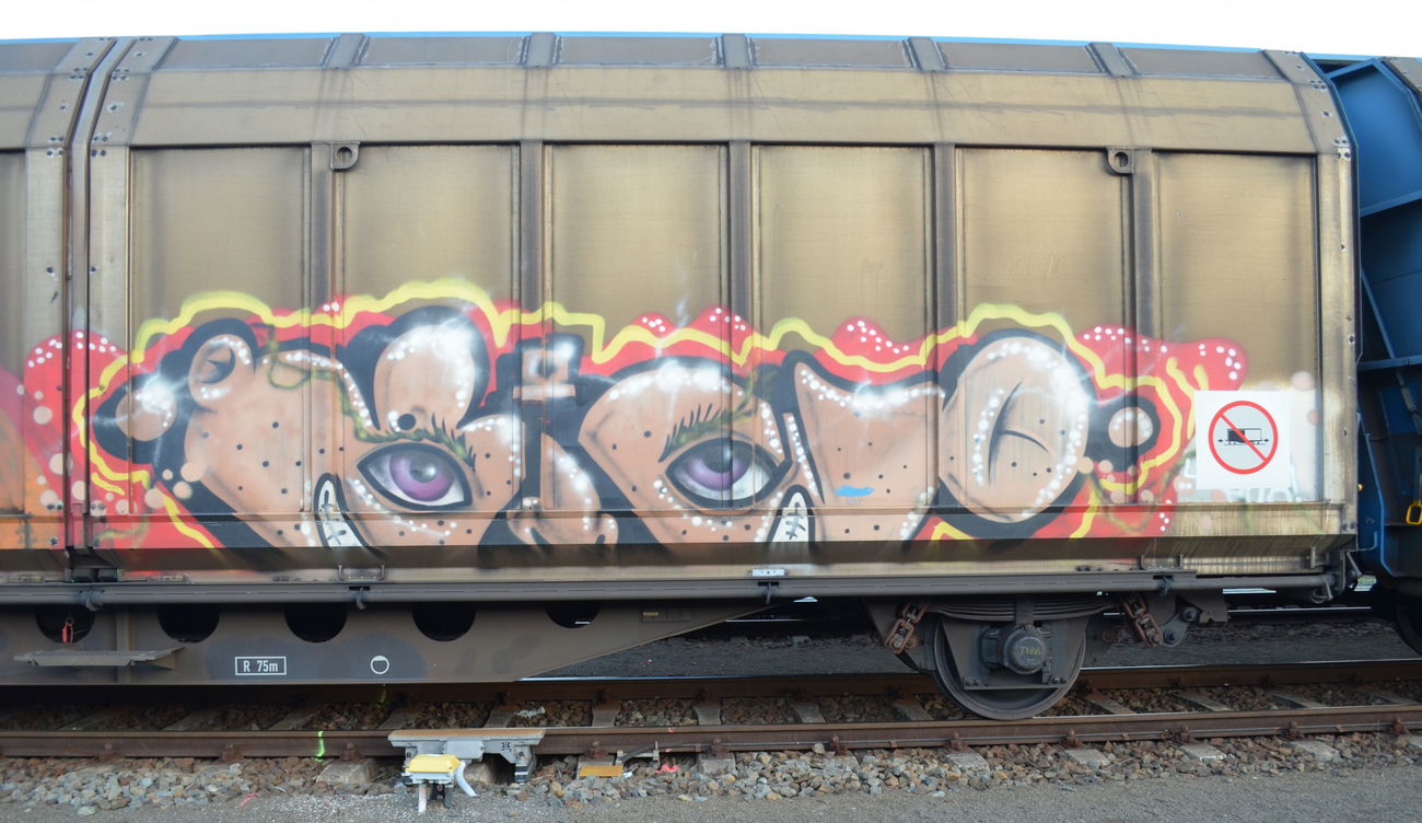 Graffiti Train - Photo by Hall3rOT - BIWO