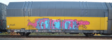 Graffiti Train - Photo by Hall3rOT - KNR