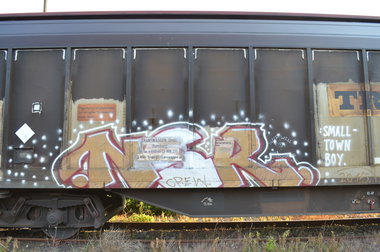 Graffiti Train - Photo by Hall3rOT - NSR
