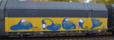 Graffiti Train - Photo by Hall3rOT - BABU (2014)