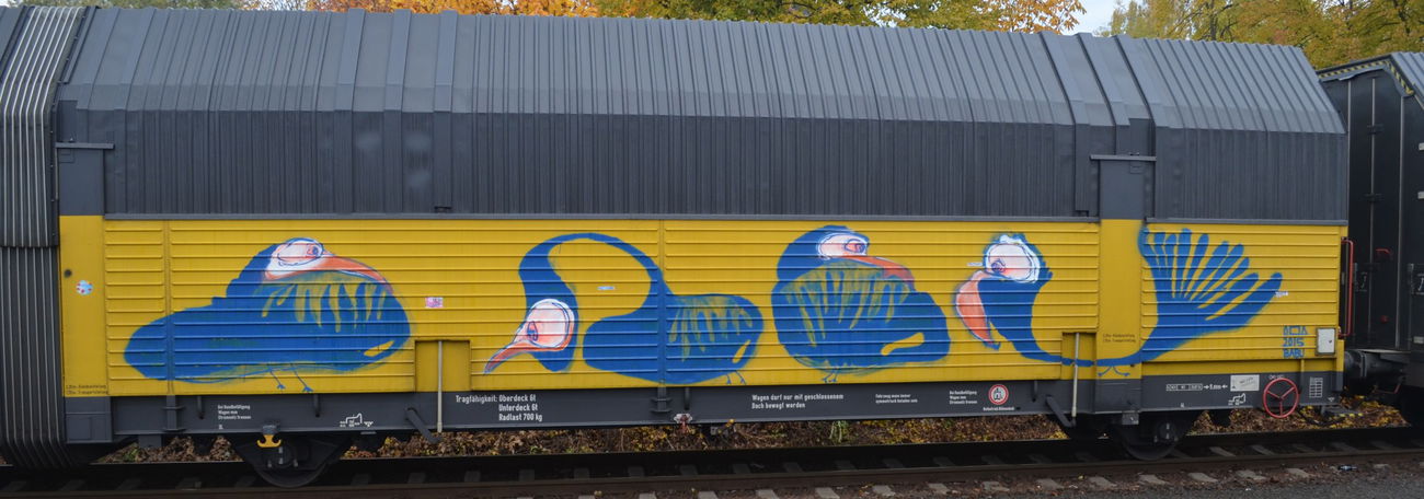 Graffiti Train - Photo by Hall3rOT - BABU (2014)