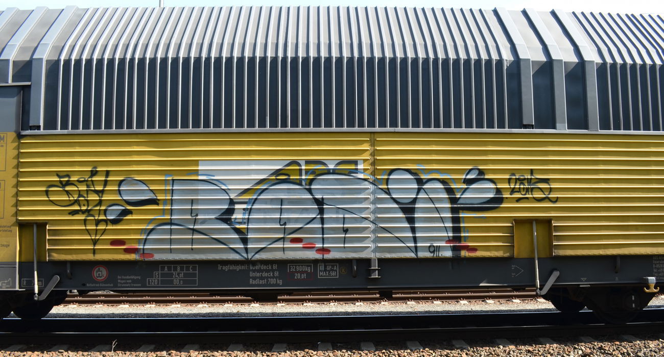 Graffiti Train - Photo by Hall3rOT - BODI (2015)