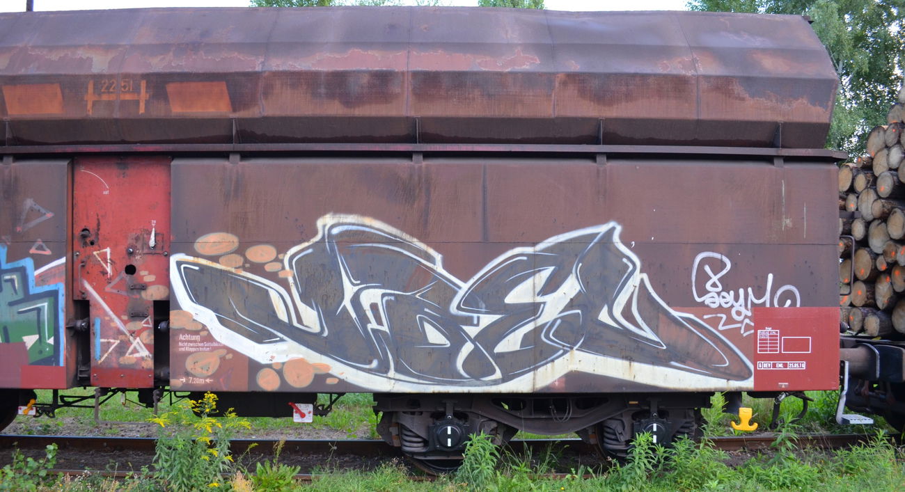 Graffiti Train - Photo by Hall3rOT - ÜBEL