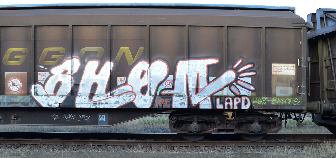 Graffiti Train - Photo by Hall3rOT - SHEM, LAPD